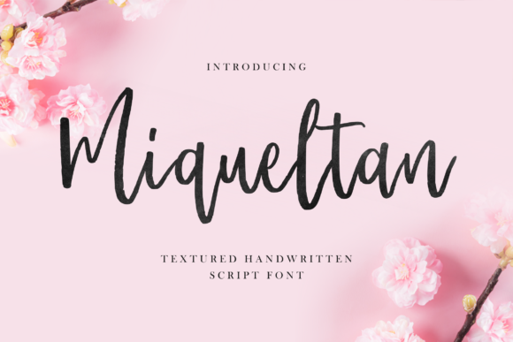 Elevate Your Web Design with Miqueltan Font