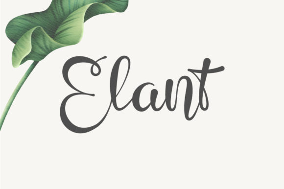 Evaluating Elant: A Script Font with Character